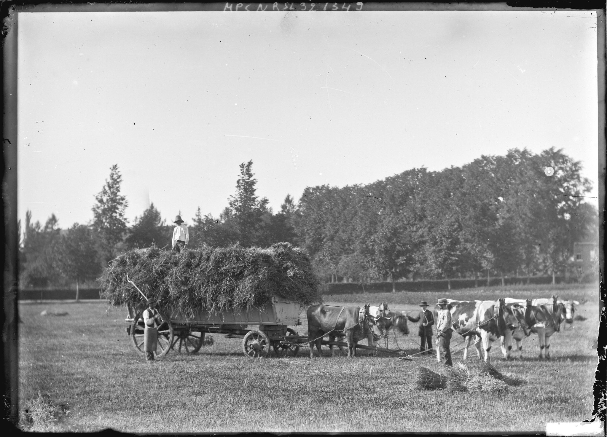 Paysans transportant du foin dans une charrette