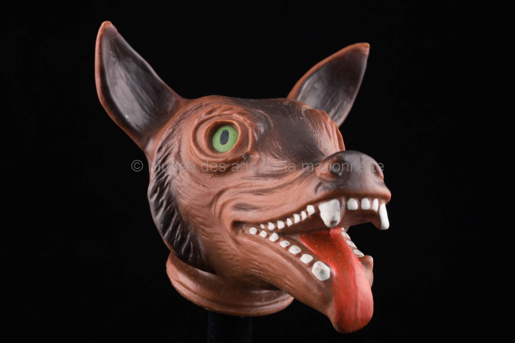 Un loup