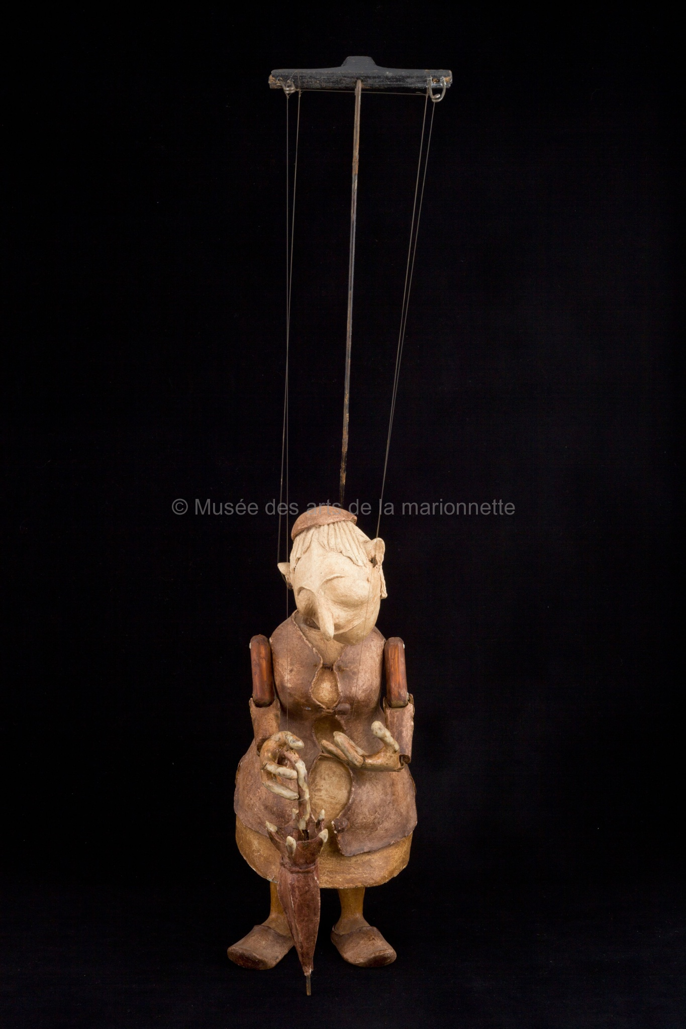 La citrouille en un jardin : Madame Patak, le voisine