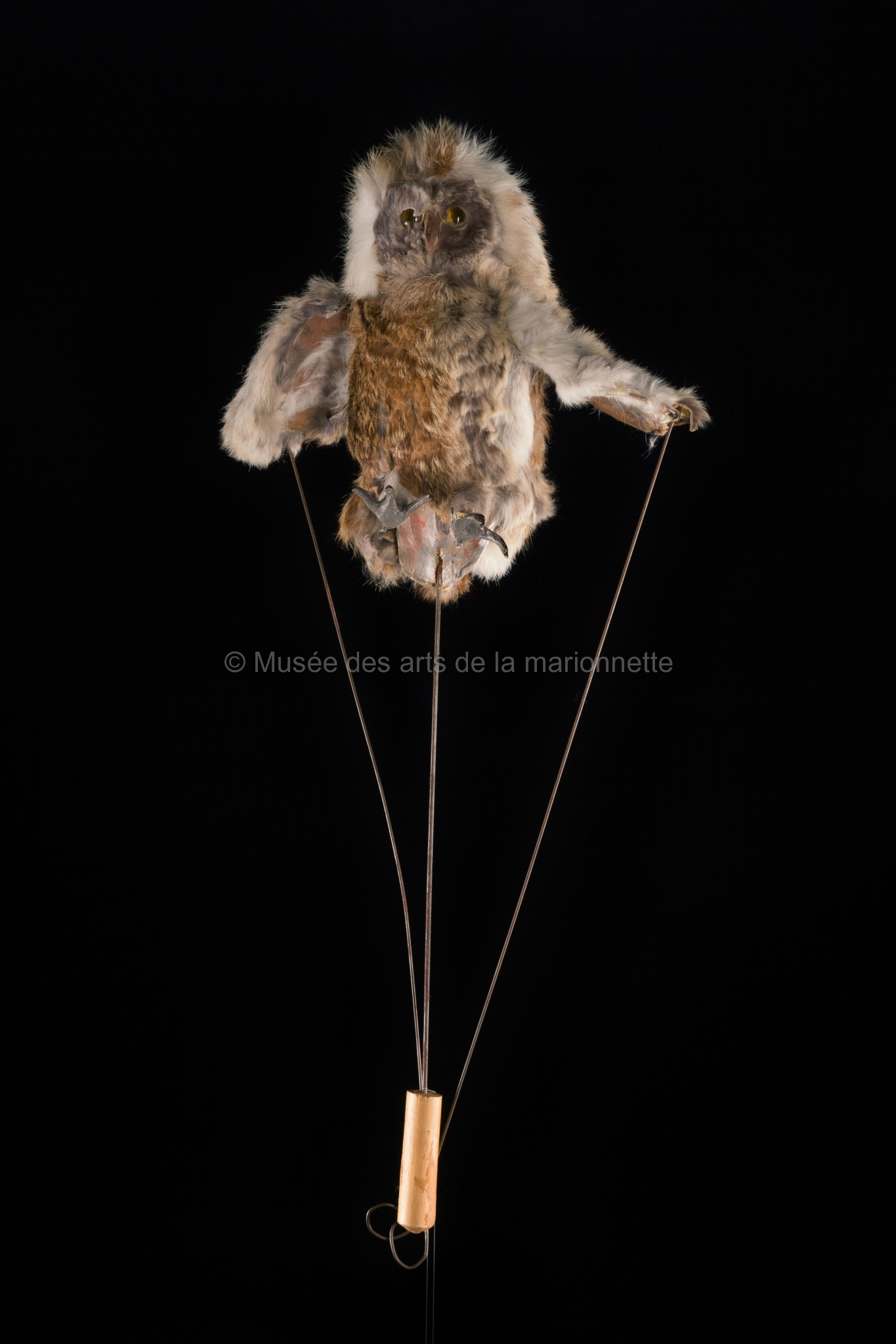 Petits cris et battements d'ailes : Maman hibou